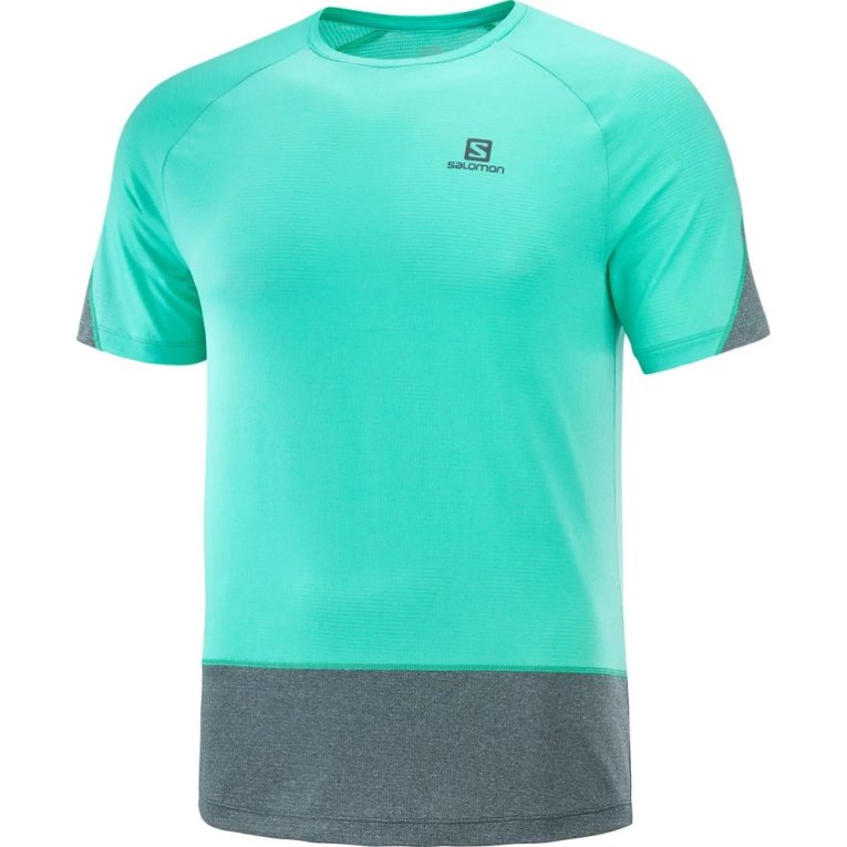 Turquoise / Grey Salomon Cross Run Short Sleeve Men's T-Shirts | IE GW9031